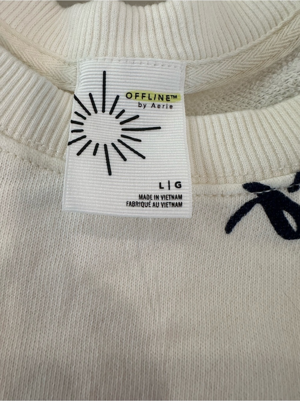 OFFLINE by Aerie Graphic Drawstring Sweatshirt Size L - Picture 3 of 5